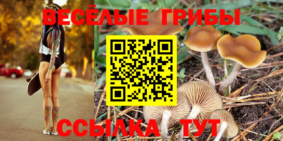 Галлюциногенные грибы GOLDEN TEACHER Аксай